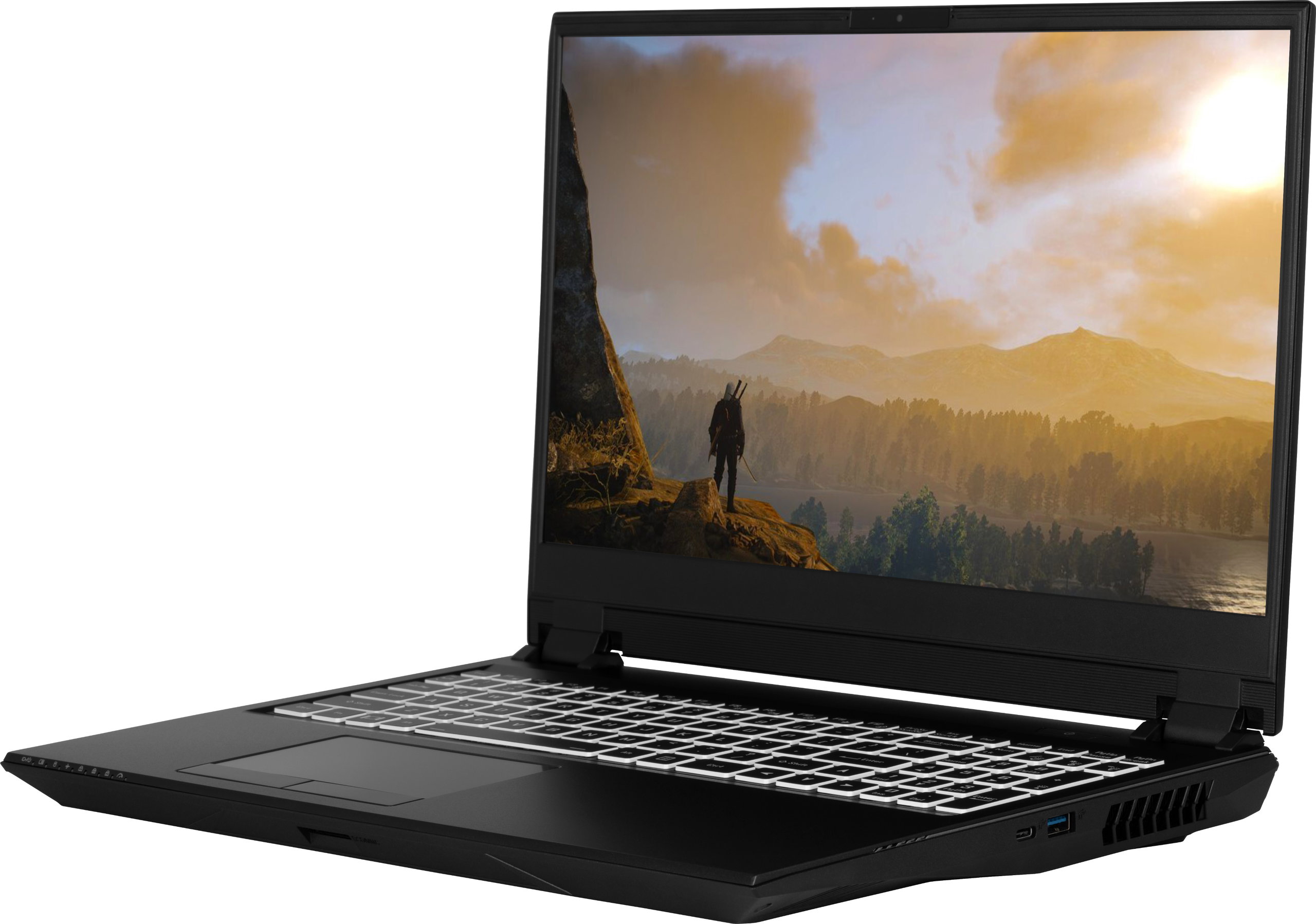 The Witcher on the Adder WS