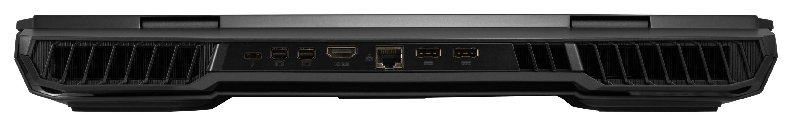 Back view for Bonobo WS