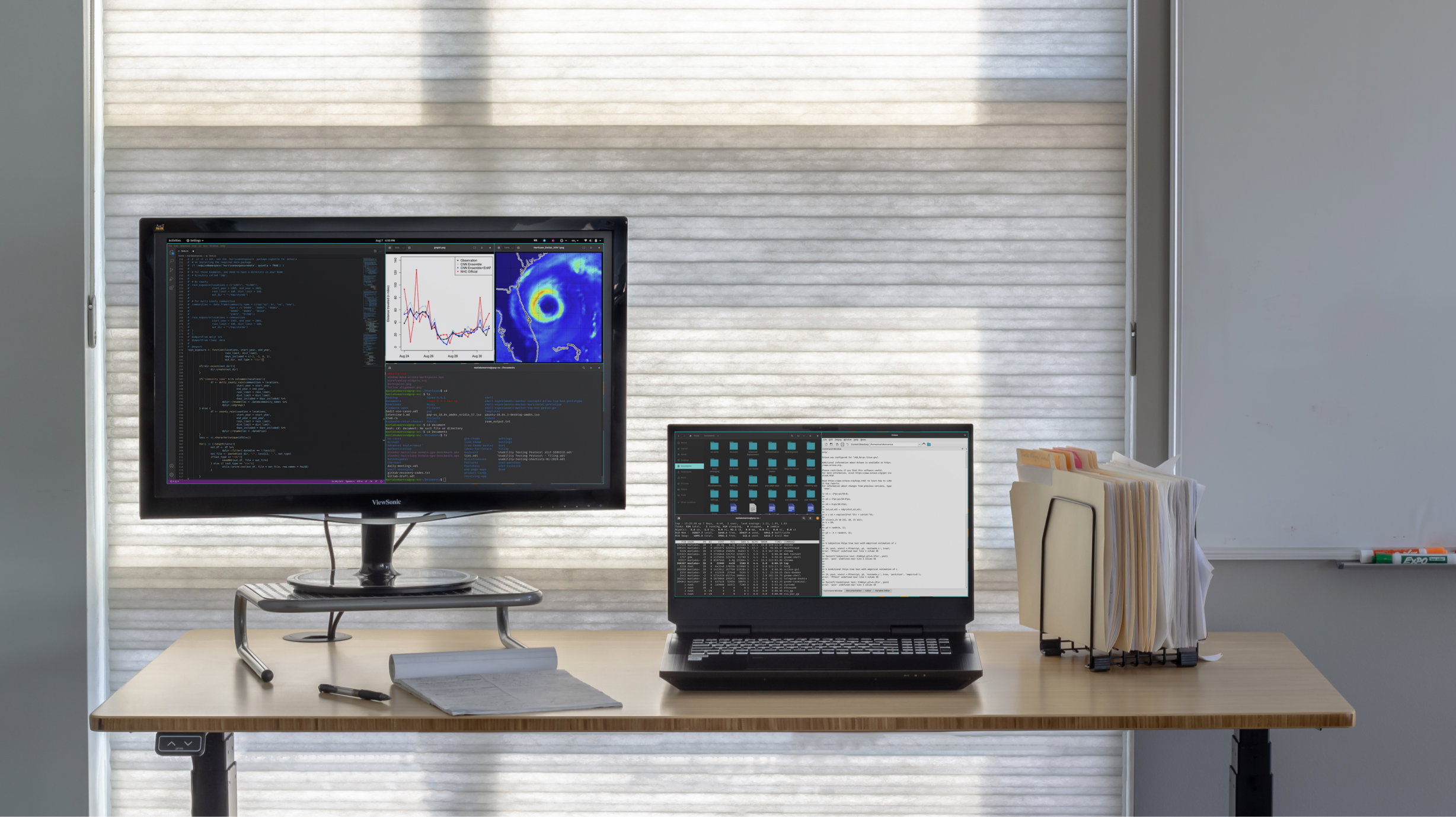 Bonobo WS unleash your potential