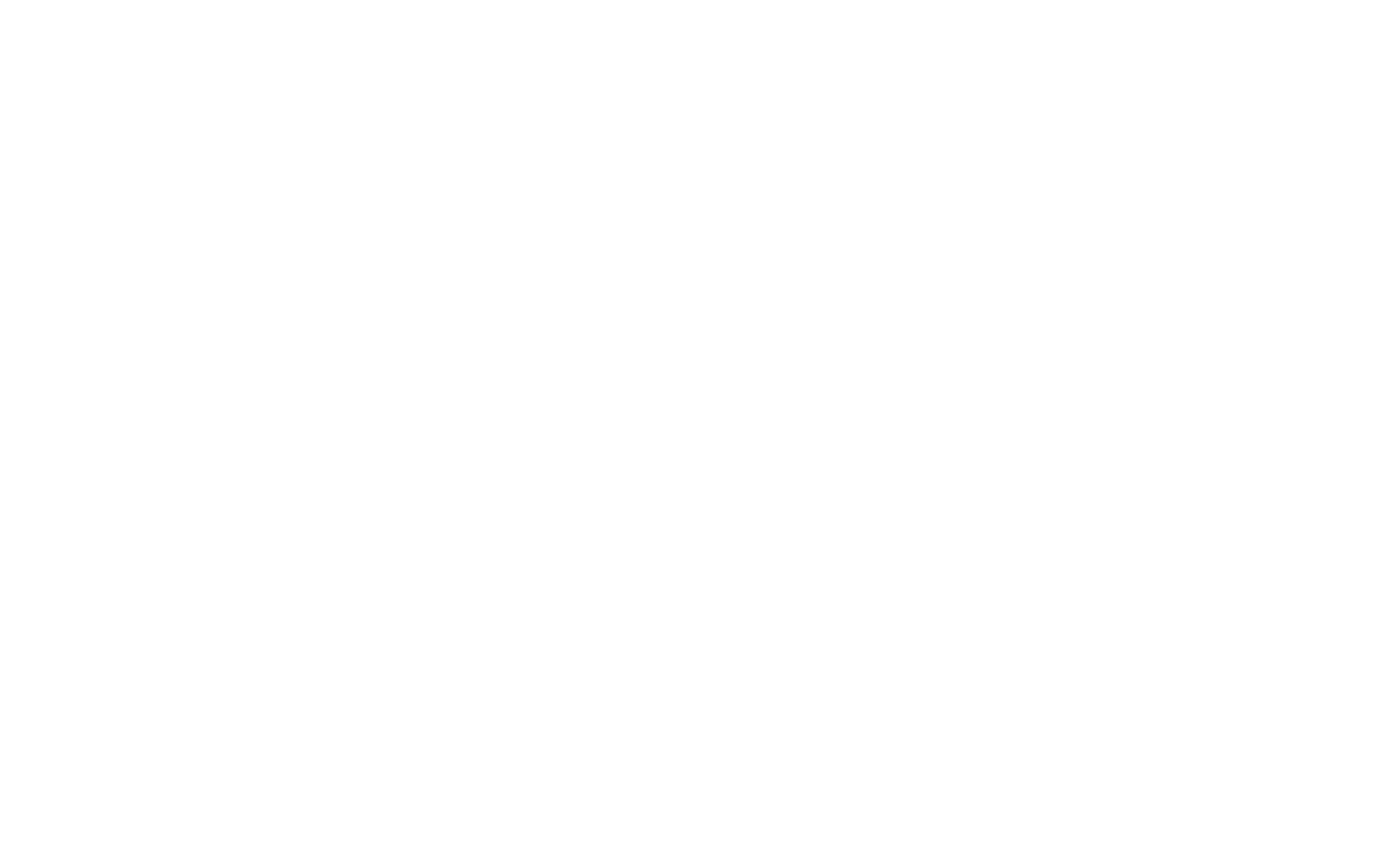 Do it yourself customizable parrot party